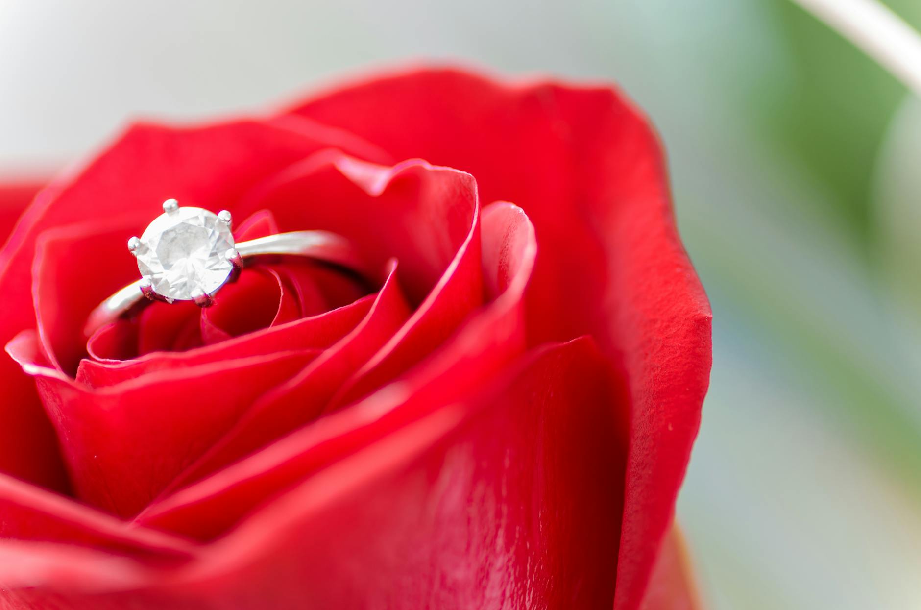 Why Does Song of Solomon Matter?